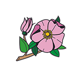 Historical Society of Alberta